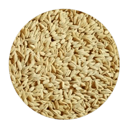 kala image